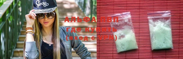 не бодяженный Новозыбков