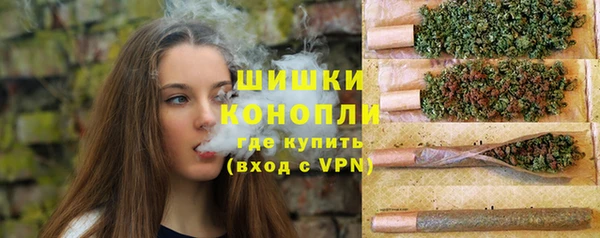 не бодяженный Новозыбков