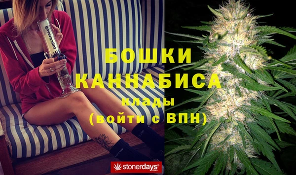 не бодяженный Новозыбков