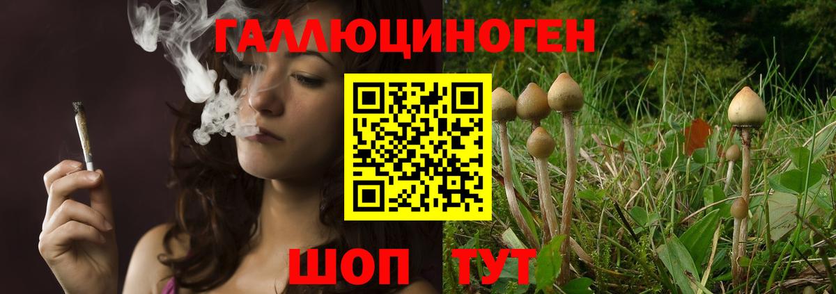 Новодвинск  Галлюциногенные грибы прущие грибы  Вход с VPN 