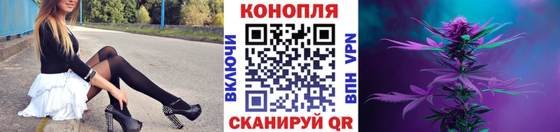 Конопля Ganja Новодвинск