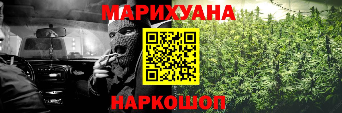 Конопля индика Новодвинск
